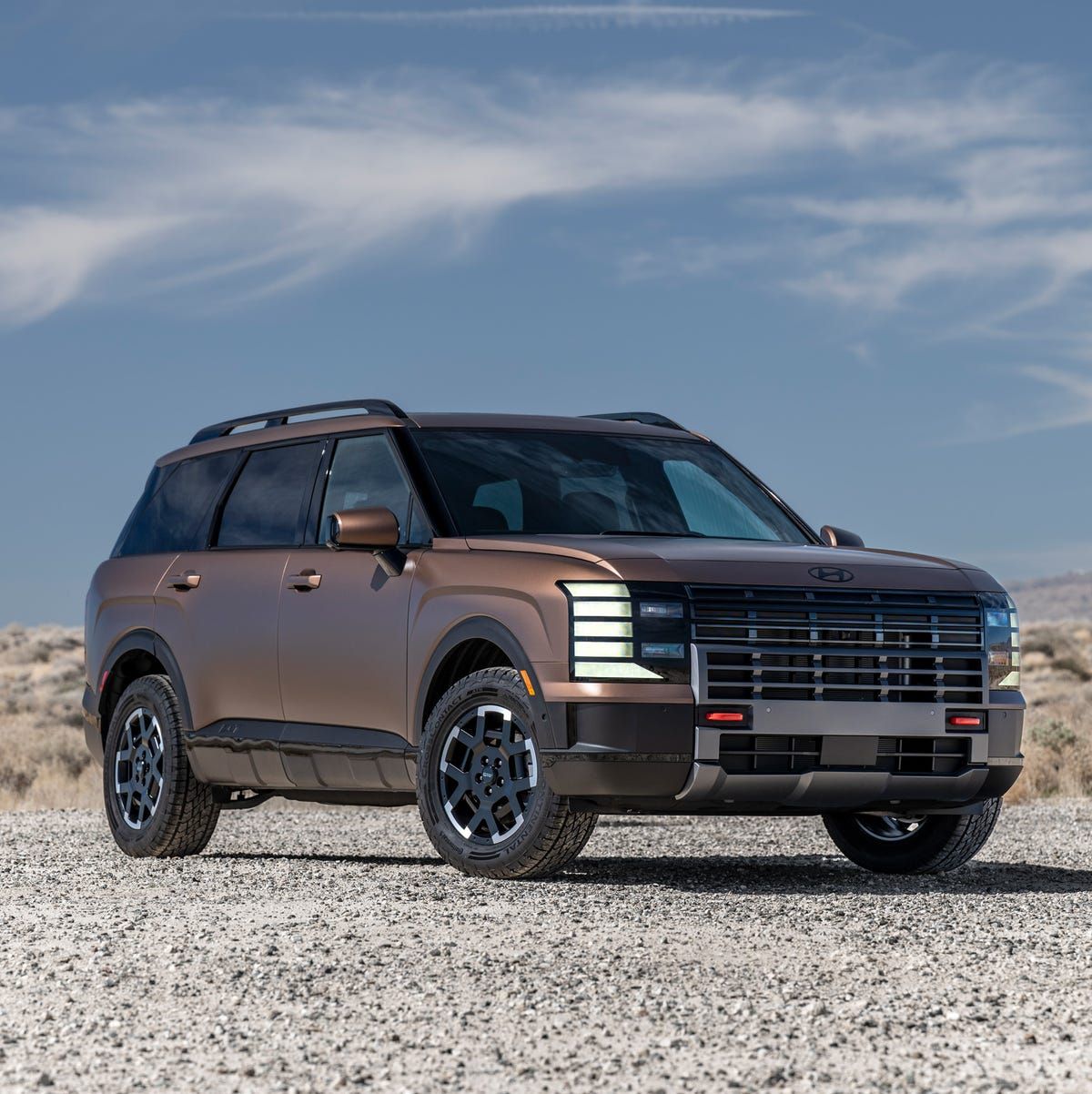 현대 디 올 뉴 팰리세이드